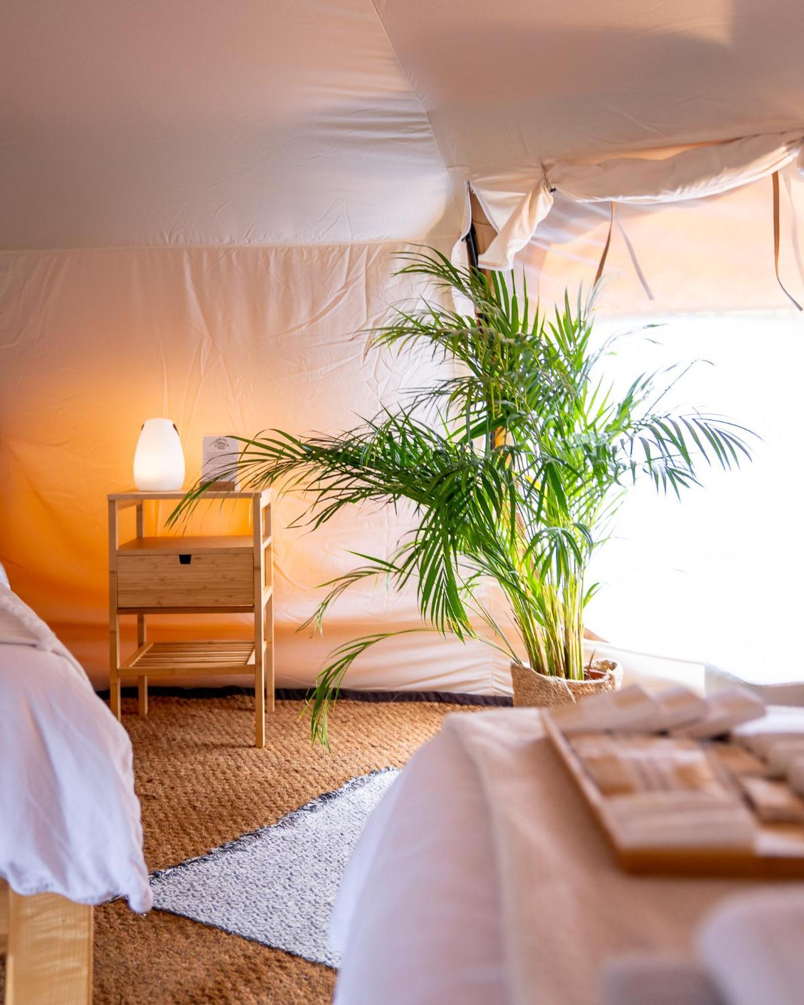 فندق Glamping Gozdna Jasa بوويتش المظهر الخارجي الصورة