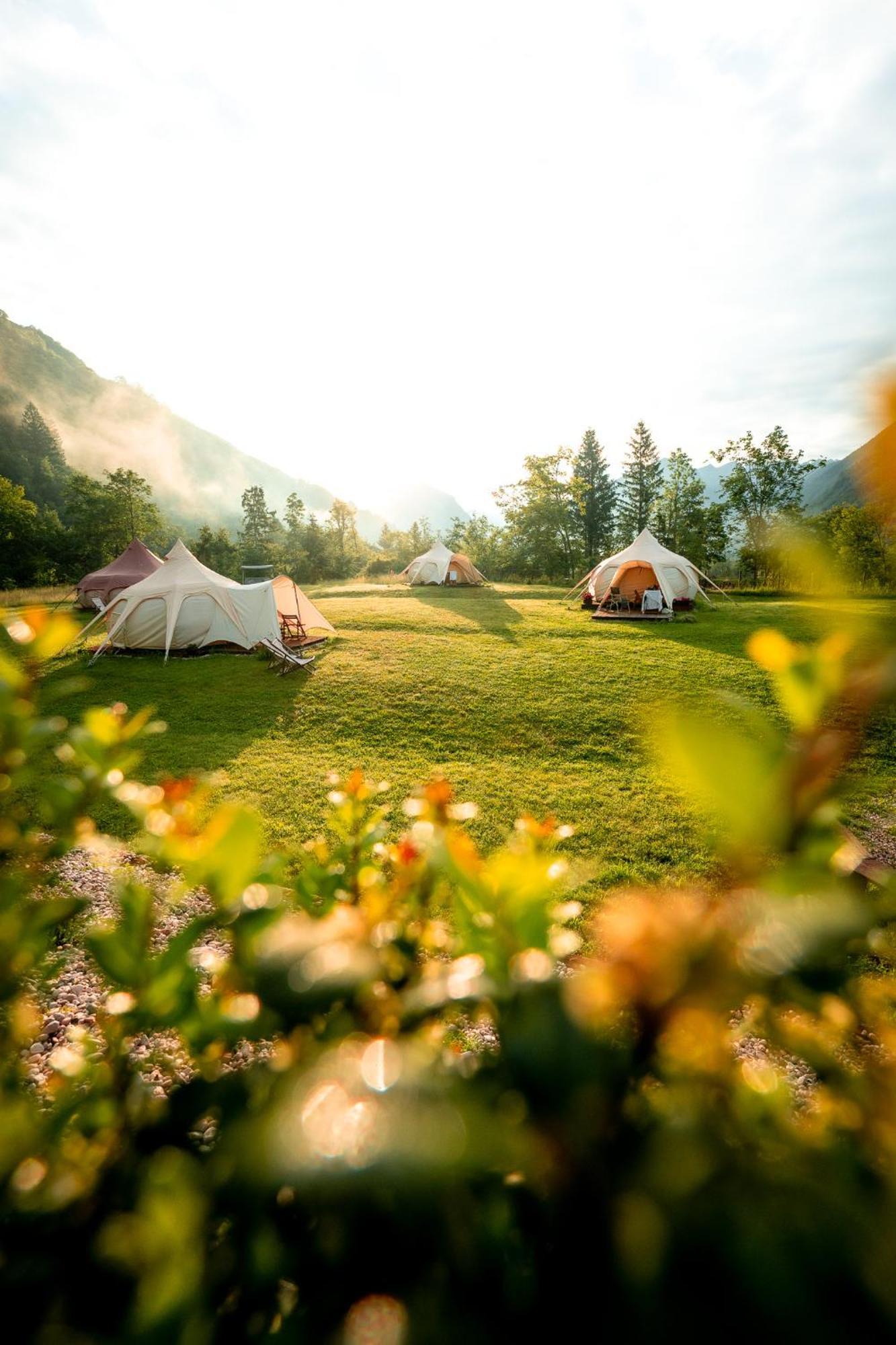 فندق Glamping Gozdna Jasa بوويتش المظهر الخارجي الصورة