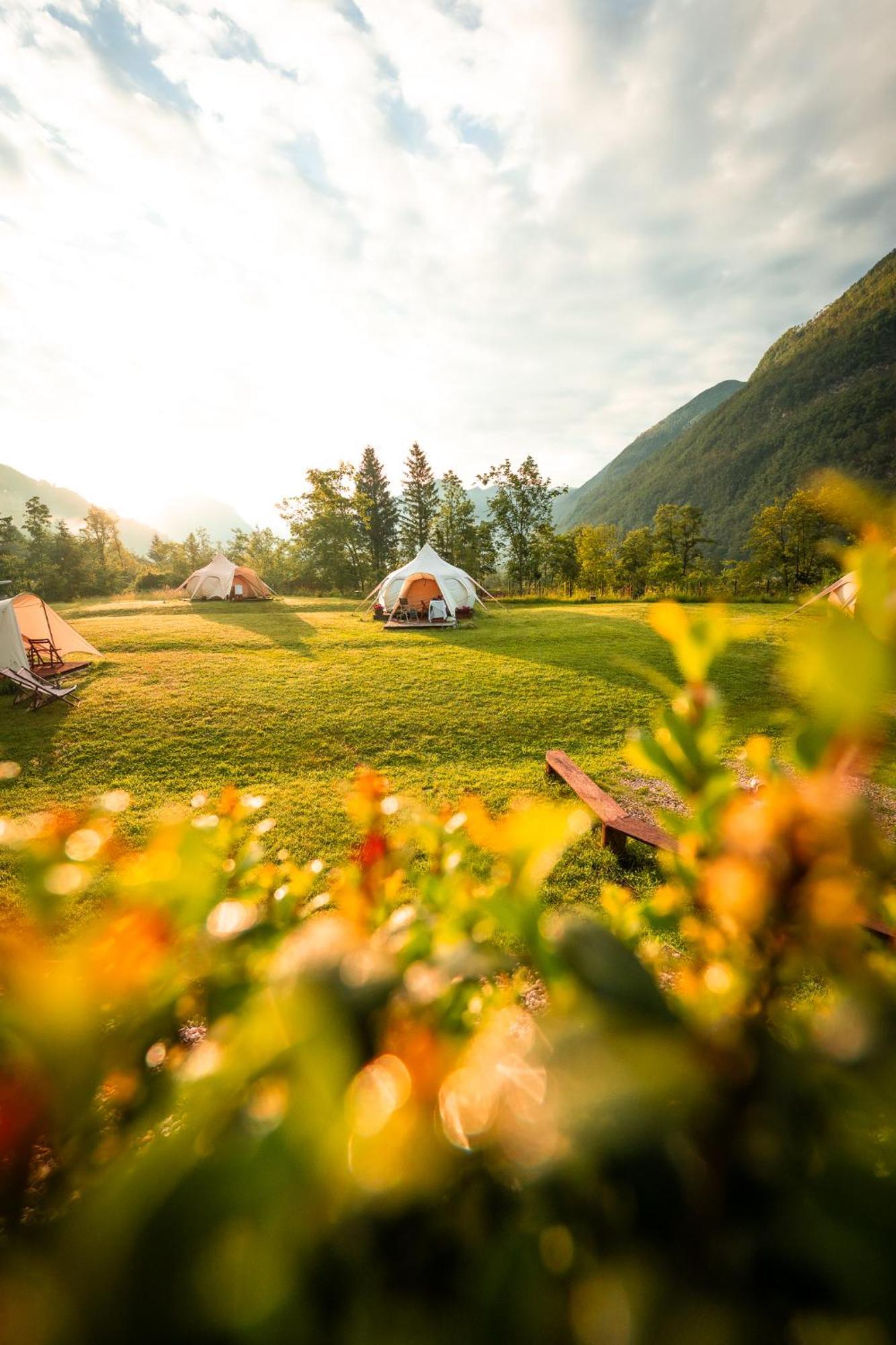 فندق Glamping Gozdna Jasa بوويتش المظهر الخارجي الصورة