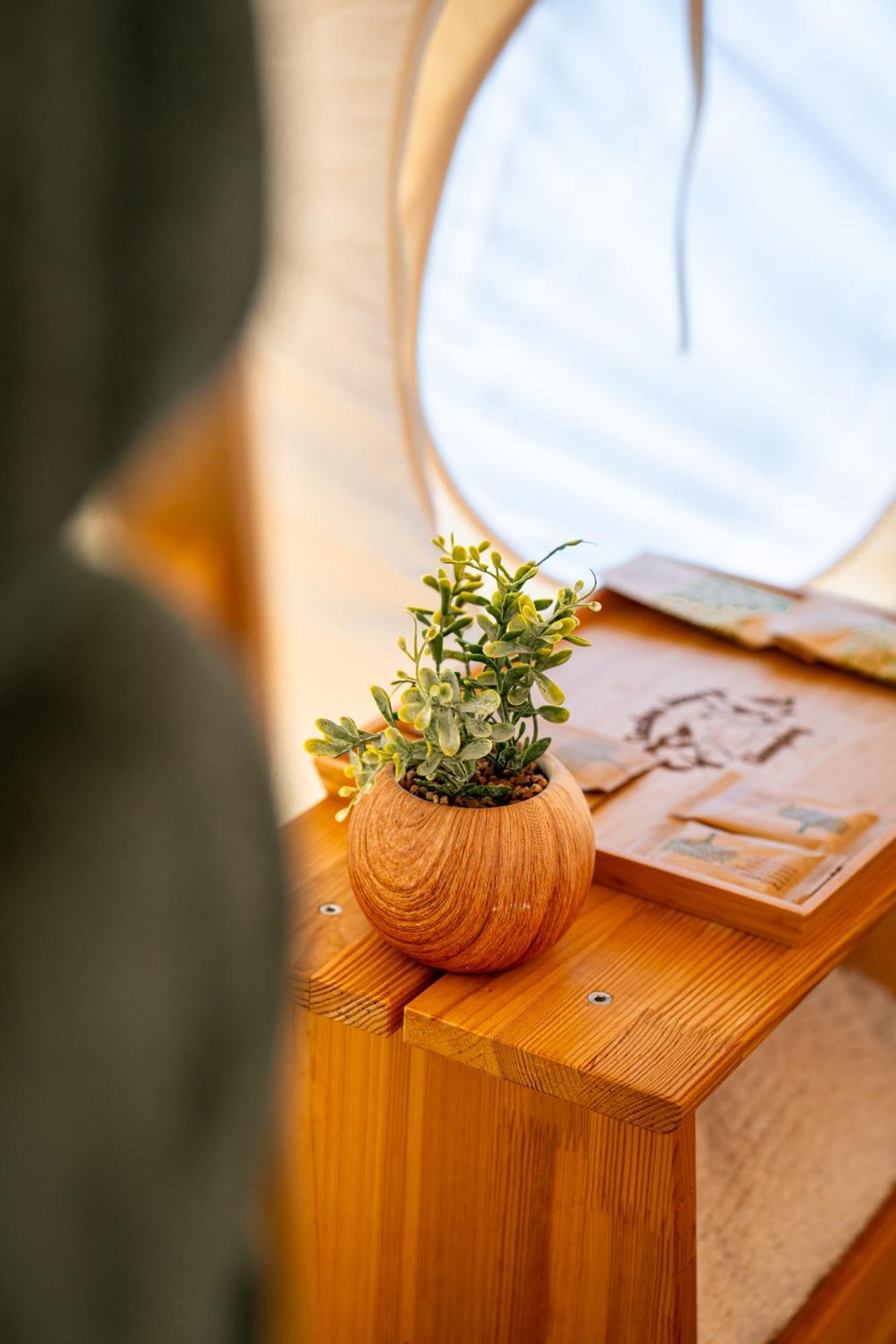 فندق Glamping Gozdna Jasa بوويتش المظهر الخارجي الصورة