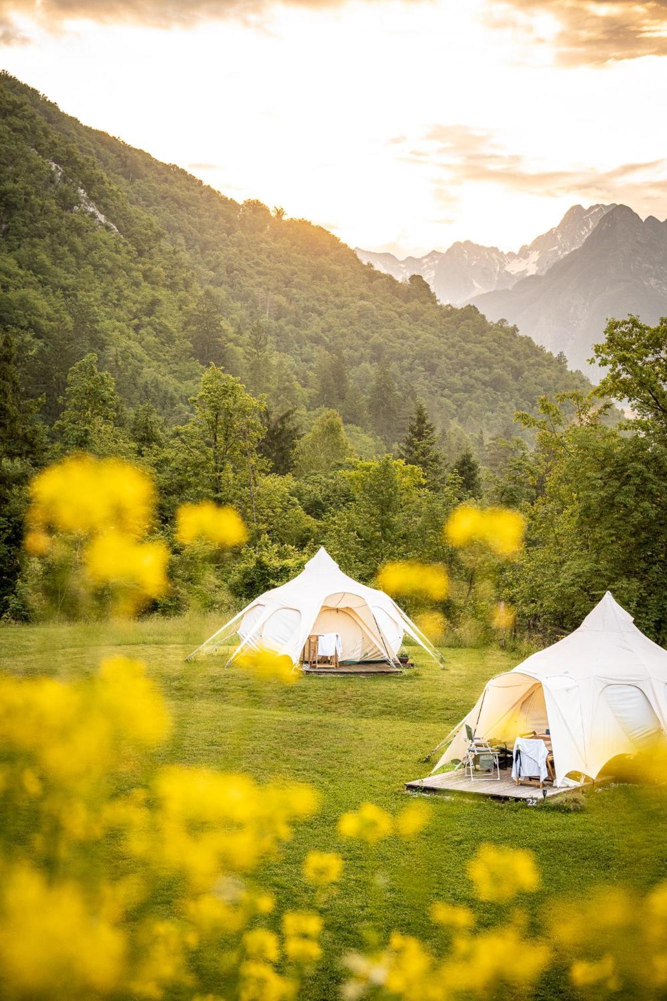 فندق Glamping Gozdna Jasa بوويتش المظهر الخارجي الصورة